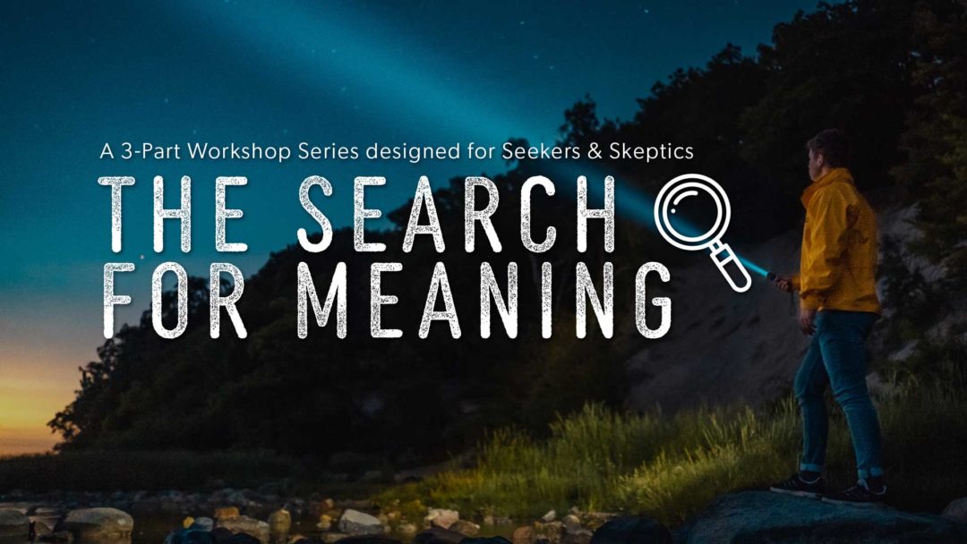 THE SEARCH FOR MEANING