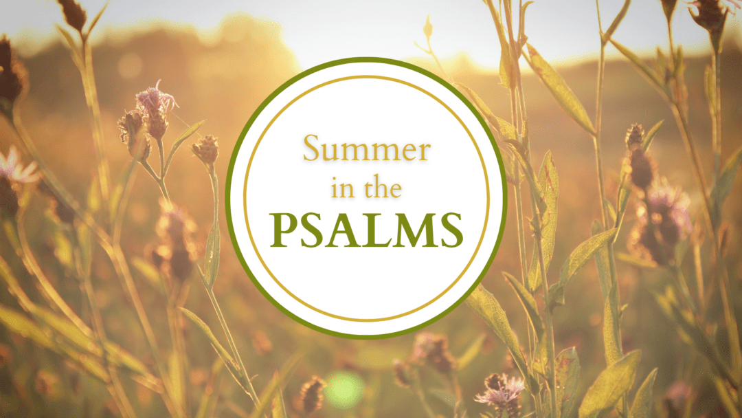 Summer in the Psalms (2026)