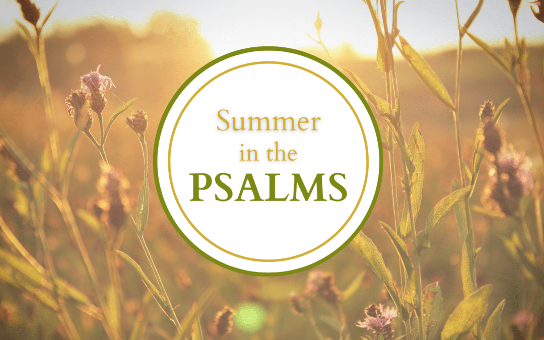 Summer in the Psalms (2026)